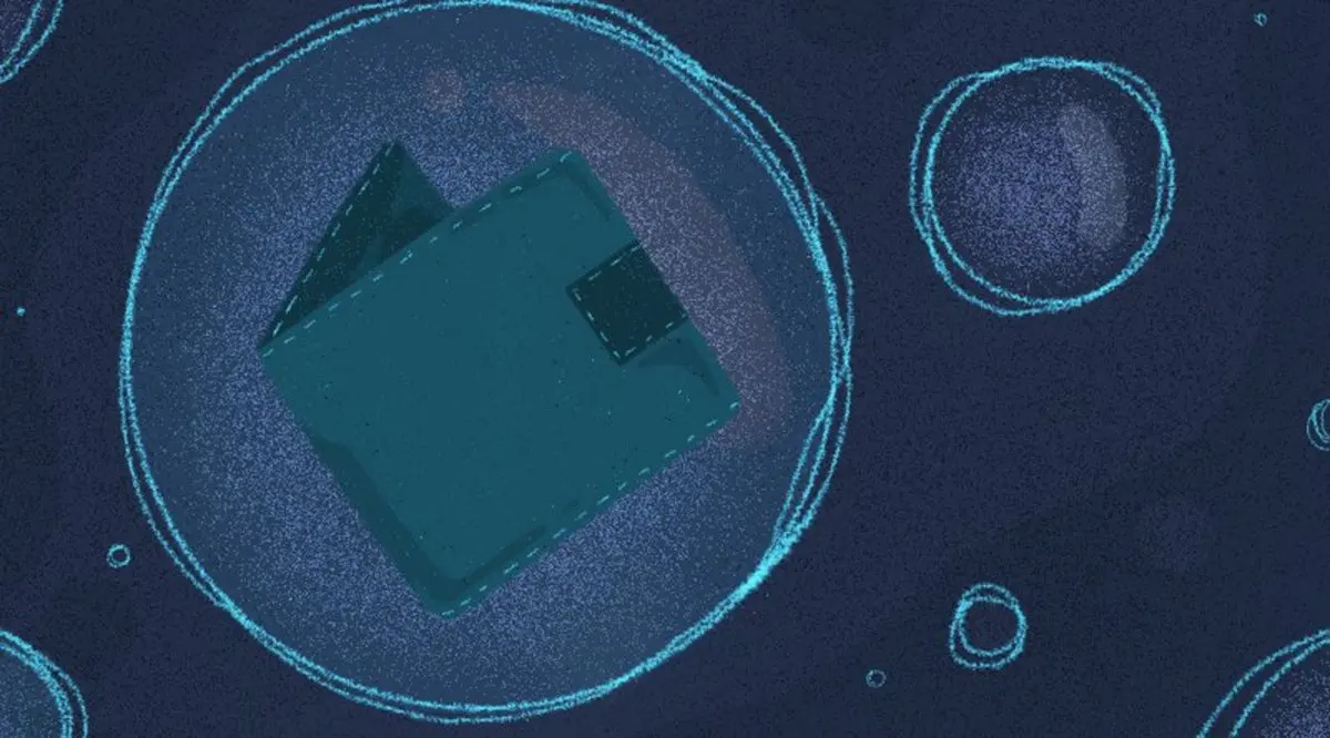 Neutrino如何实现隐私保护型轻钱包？