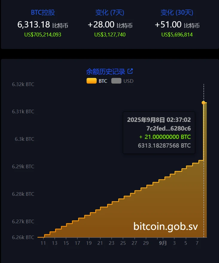 萨尔瓦多比特币持仓增至6313枚 总价值达7.01亿美元